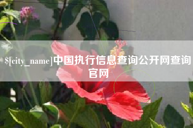 自贡中国执行信息查询公开网查询官网