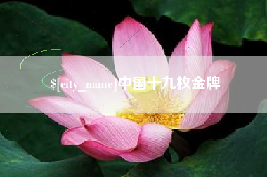 自贡中国十九枚金牌