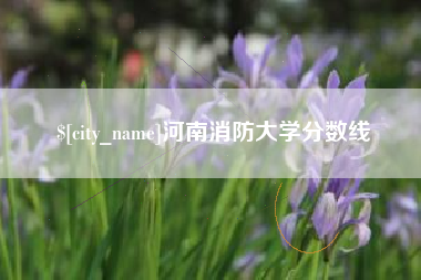 自贡河南消防大学分数线