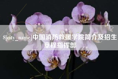 自贡中国消防救援学院简介及招生章程指挥部
