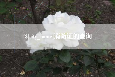 自贡消防证的查询