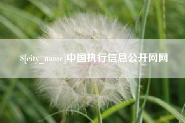 自贡中国执行信息公开网网
