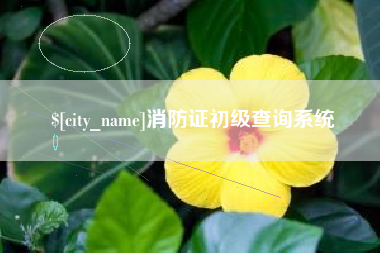 自贡消防证初级查询系统