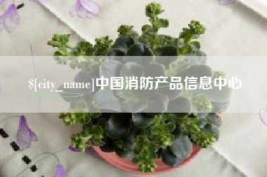 自贡中国消防产品信息中心