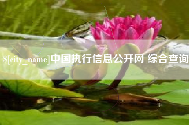 自贡中国执行信息公开网 综合查询