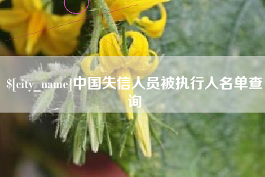 自贡中国失信人员被执行人名单查询