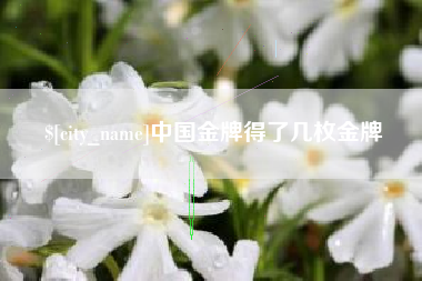 自贡中国金牌得了几枚金牌