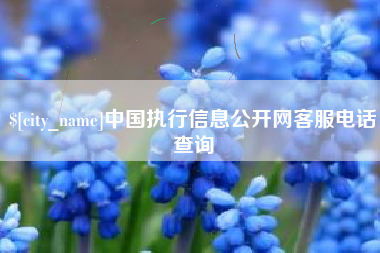 自贡中国执行信息公开网客服电话查询