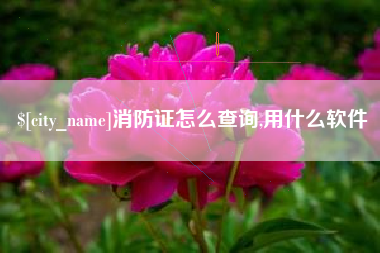自贡消防证怎么查询,用什么软件