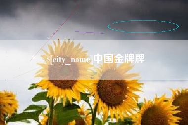 自贡中国金牌牌