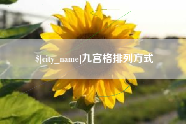 自贡九宫格排列方式