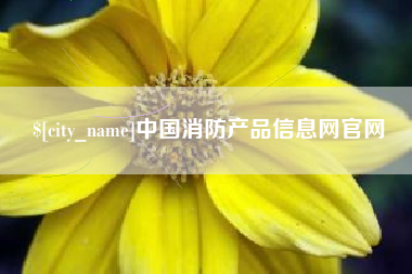 自贡中国消防产品信息网官网