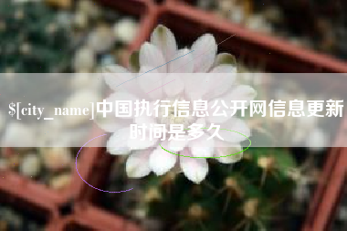 自贡中国执行信息公开网信息更新时间是多久