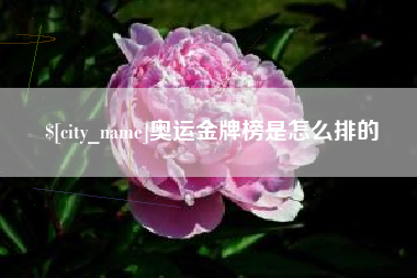 自贡奥运金牌榜是怎么排的