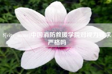 自贡中国消防救援学院对视力要求严格吗