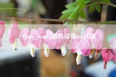 自贡消防设备ccc认证