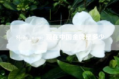 自贡现在中国金牌是多少