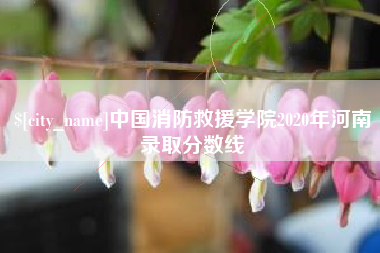 自贡中国消防救援学院2020年河南录取分数线