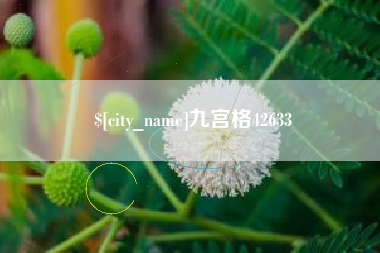 自贡九宫格42633