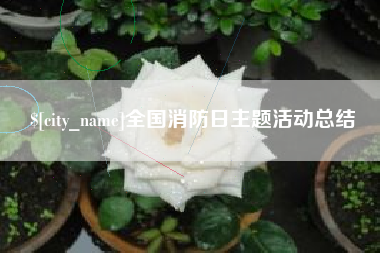 自贡全国消防日主题活动总结