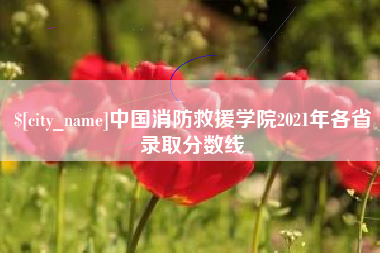 自贡中国消防救援学院2021年各省录取分数线