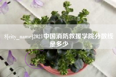 自贡2021中国消防救援学院分数线是多少
