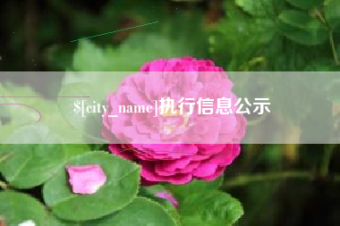自贡执行信息公示