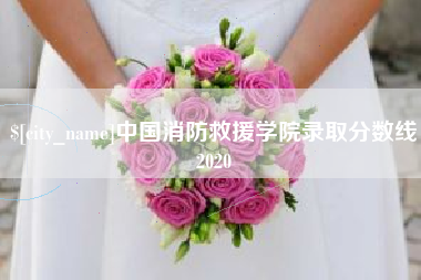 自贡中国消防救援学院录取分数线2020
