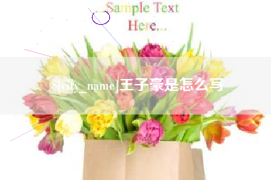 自贡王子豪是怎么写