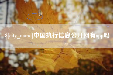 自贡中国执行信息公开网有app吗