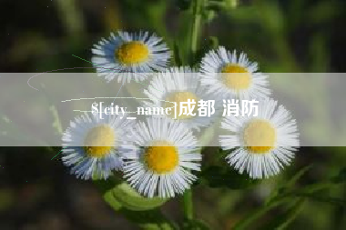 自贡成都 消防