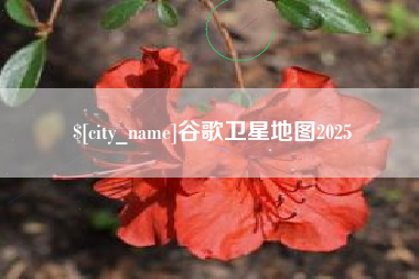 自贡谷歌卫星地图2025