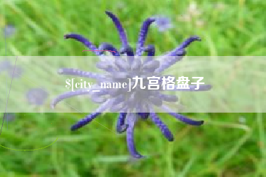 自贡九宫格盘子
