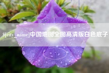 自贡中国地图全图高清版白色底子