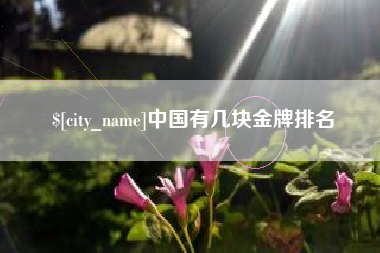 自贡中国有几块金牌排名