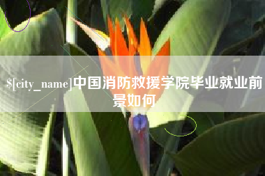 自贡中国消防救援学院毕业就业前景如何