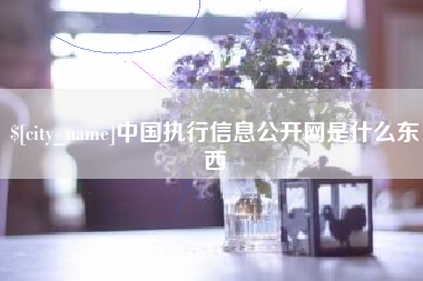 自贡中国执行信息公开网是什么东西