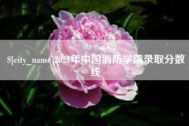 自贡2021年中国消防学院录取分数线
