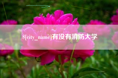 自贡有没有消防大学