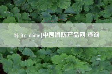 自贡中国消防产品网 查询