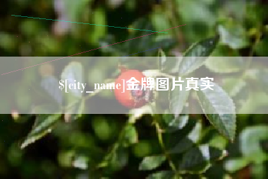 自贡金牌图片真实