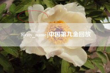 自贡中国第九金回放