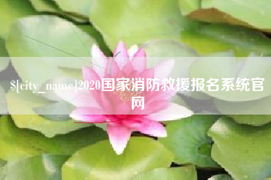 自贡2020国家消防救援报名系统官网
