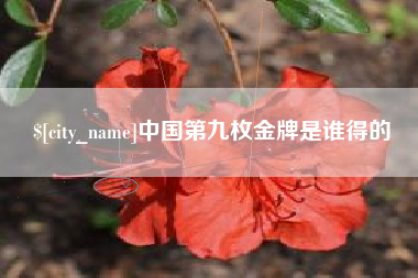 自贡中国第九枚金牌是谁得的