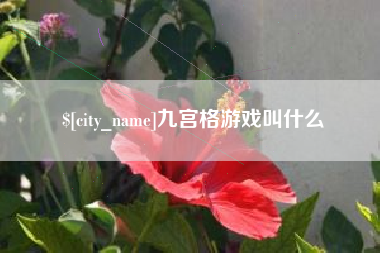 自贡九宫格游戏叫什么