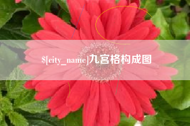 自贡九宫格构成图