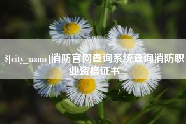 自贡消防官网查询系统查询消防职业资格证书