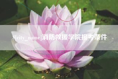 自贡消防救援学院报考条件
