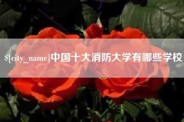 自贡中国十大消防大学有哪些学校
