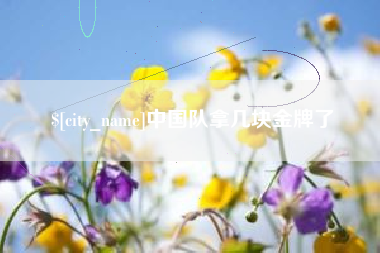 自贡中国队拿几块金牌了